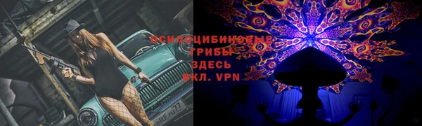 стаф Козельск