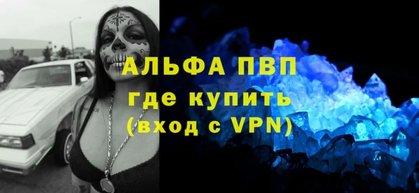 стаф Козельск