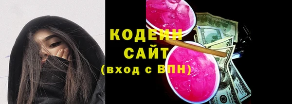 стаф Козельск