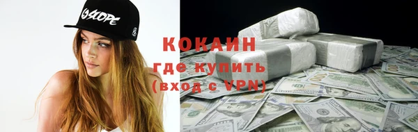 стаф Козельск
