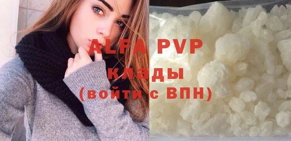 стаф Козельск