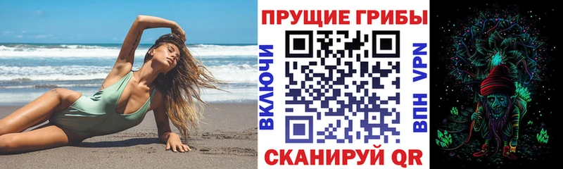 купить наркоту  Черноголовка  Псилоцибиновые грибы Cubensis 