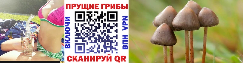 Псилоцибиновые грибы мицелий Черноголовка