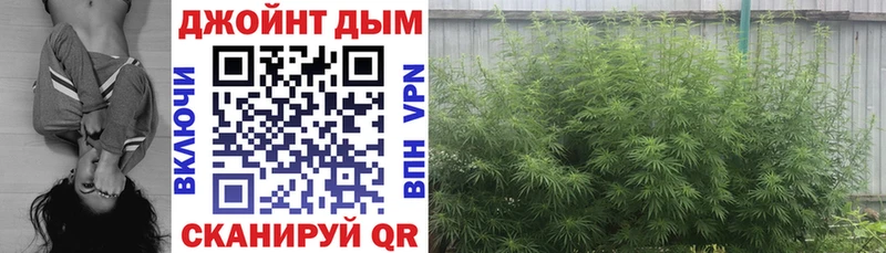 Канабис Bruce Banner  Черноголовка 
